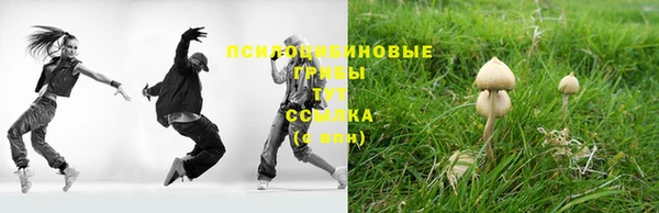 ALPHA PVP Богданович