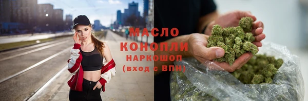 mdpv Богородицк