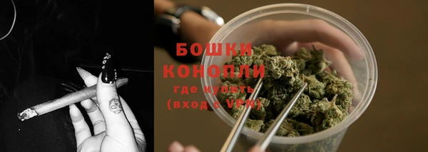 mdpv Богородицк