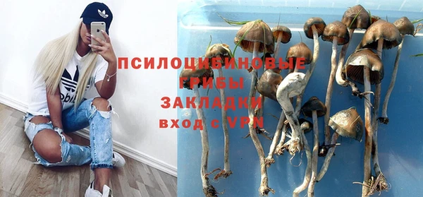 mdpv Богородицк